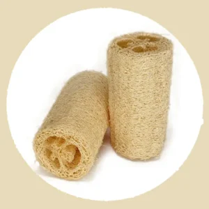 Eponge Luffa